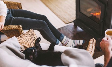 Kamin na pelete: združite prijetno s koristnim