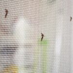 4 triki za učinkovito obrambo pred komarji